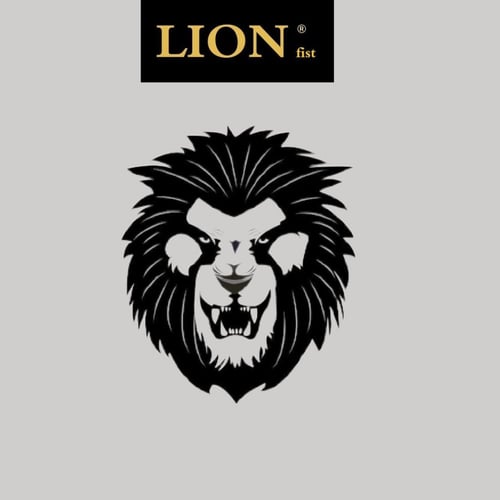 بكج حماية ايفون 14 6*1 شركة ليون