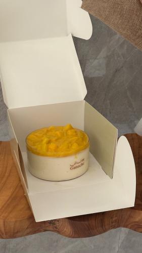 كيكة جاناش مانجو | mango Ganache Cake