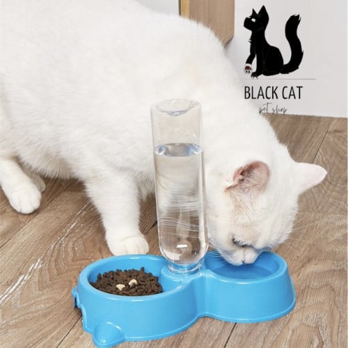 صحن اكل للقطط مع زجاج ماء