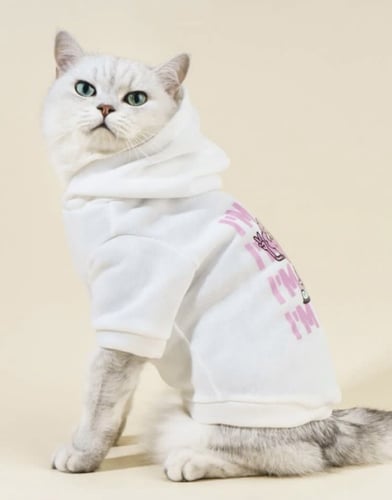 هودي للقطط برسوم كرتون