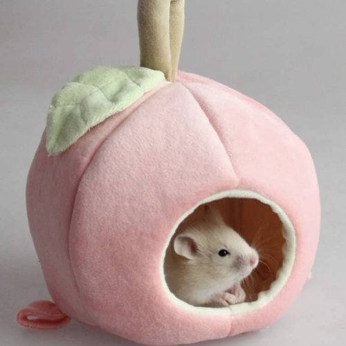 كوخ لسنجاب والقوارض صغيره