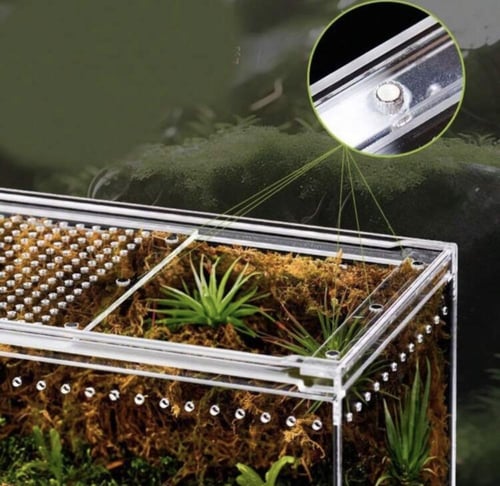 حوض اكريلك فاخر مناسب لثعابين حجم (L)