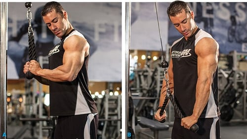 حبل لتمرين عضلة التراي Triceps Rope