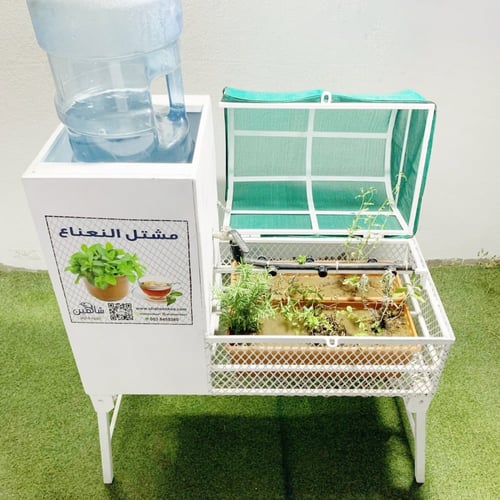 مشتل النعناع المتكامل