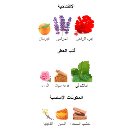 زيت عطري مستوحى من باتشولي انتنس - نيكولاي