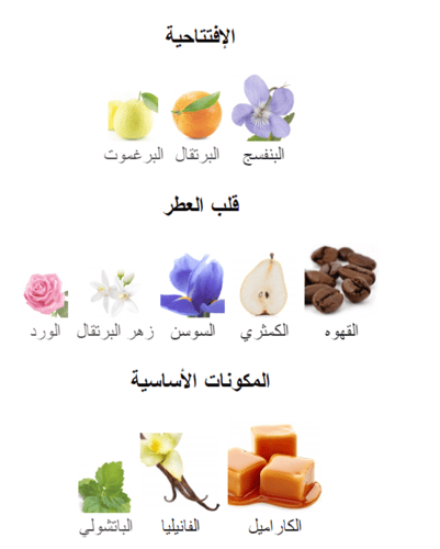 زيت عطري مستوحى من ذا أونلي ون - دولتشي آند غابانا