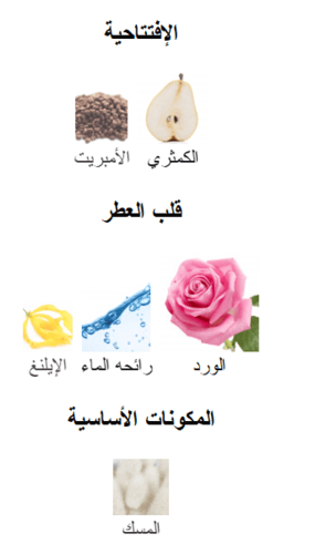 زيت عطري مستوحى من اسبيشلي اسكادا - اسكادا