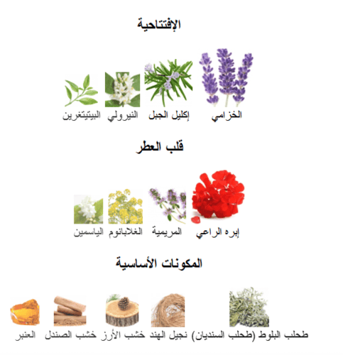 زيت عطري مستوحى من بلاتينوم ايجوست - شانيل