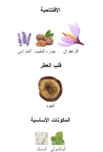 زيت عطري مستوحى من عود فور جريتنس - انيشيو