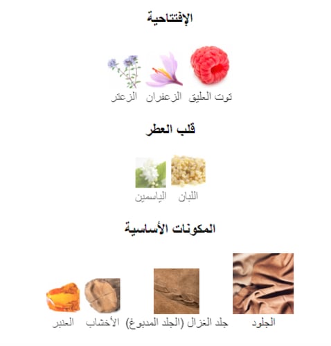 زيت عطري مستوحى من توسكان ليذر - توم فورد