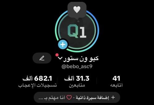 حساب تيك توك 31 الف متابع