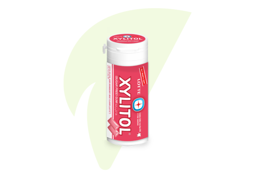 لوت زيليتول علك نعناع وفراولة 29 جرام