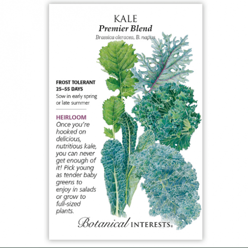 بذور كيل منوع - Kale Premier Blend Seeds