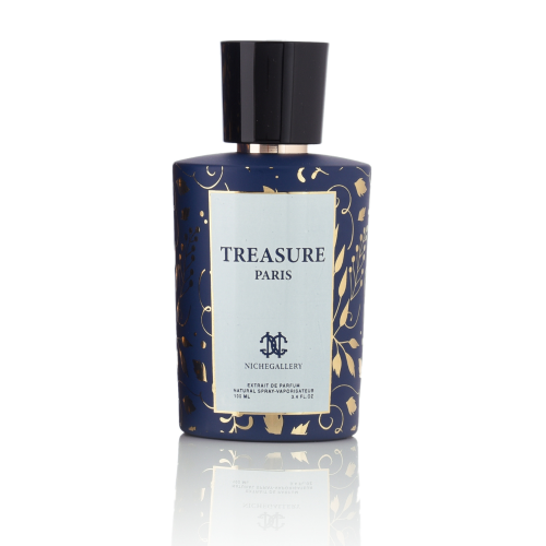 نيش غاليري تريزور 100 مل