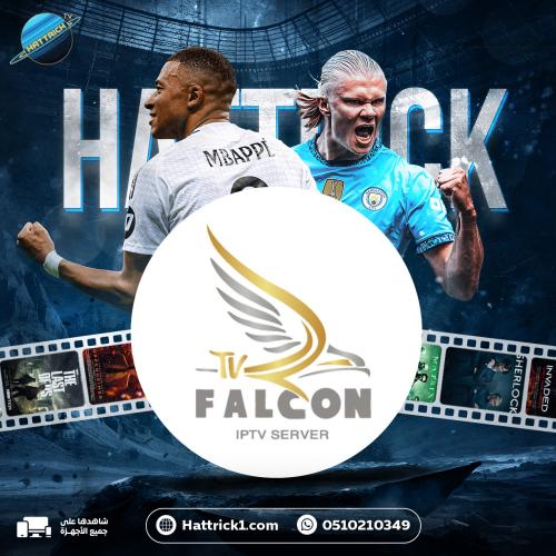 أشتراك فالكون سنة