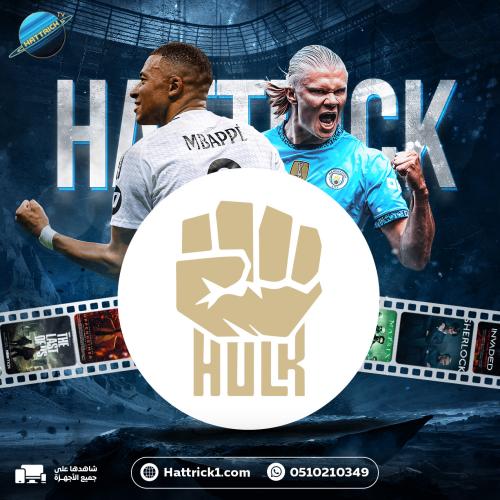 أشتراك هولك سنة