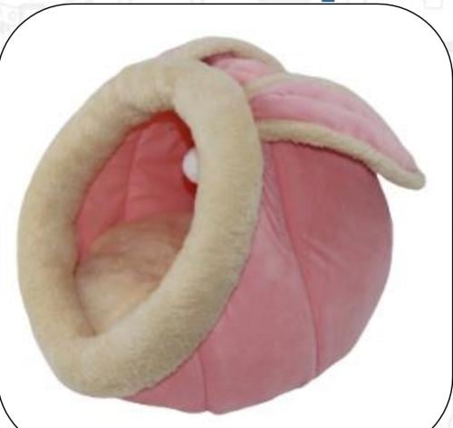 بيت قطط على شكل أرنب كبير