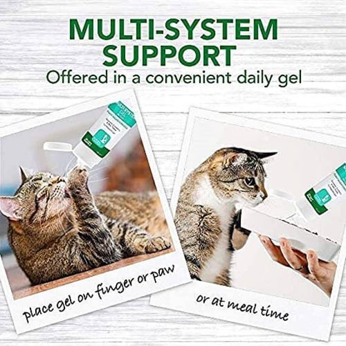 فيتس بيست جل لدعم الجهاز المناعي والصحي للقطط, 100...