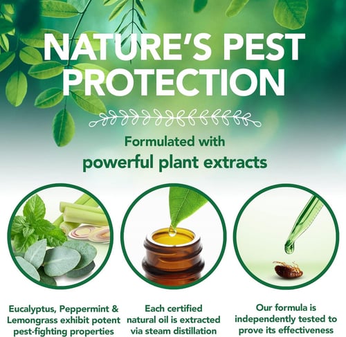 فيتس بيست بخاخ طارد البراغيث والقراد والعث للكلاب...