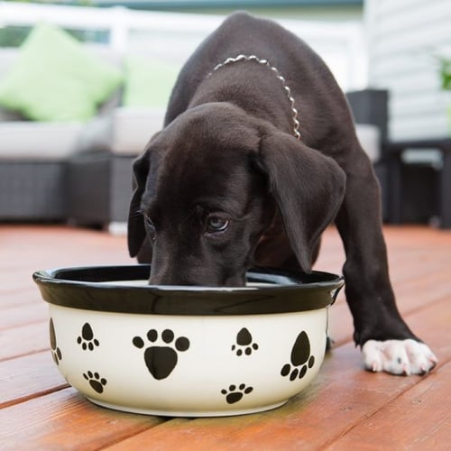 فيتس بيست غسول الفم للتخلص من الروائح الكريهه للنف...