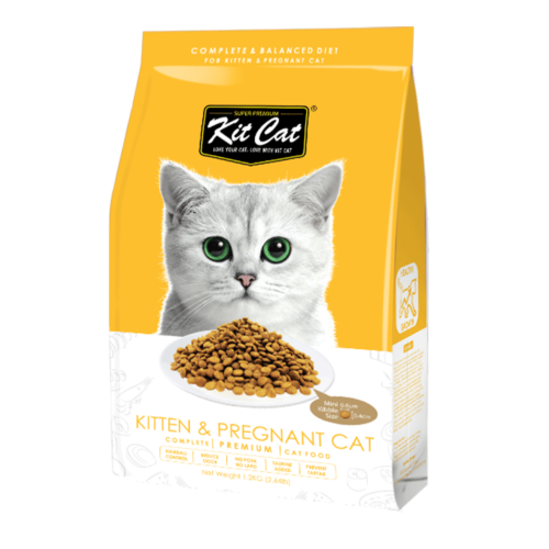 كت كات طعام جاف للقطط الصغيرة والحوامل 1.2 كجم