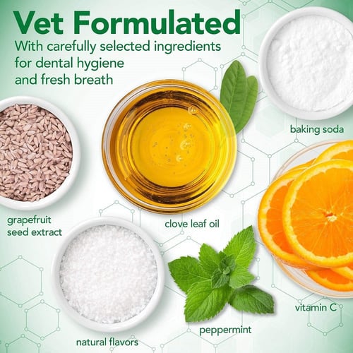 فيتس بيست طقم عناية بالاسنان للكلاب