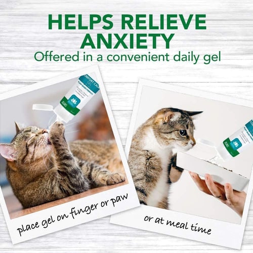 فيتس بيست جل مهدئ للقطط, 100 جرام