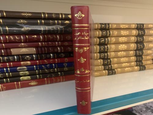 حياة الشيخ محمد عياد الطنطاوي ( أصل ) ت: أغناطيوس