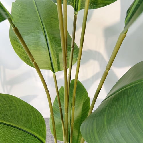 شجرة الموز 160سم