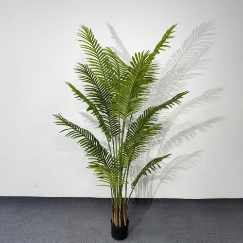 شجرة الاريكا 160 سم