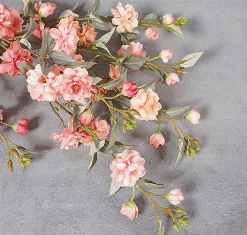 فرع زهرة الكامييليا - زهري