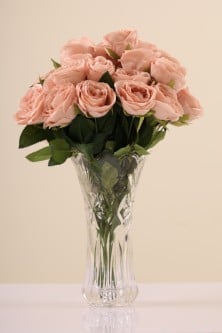 غصن زهرة الروز الوردية