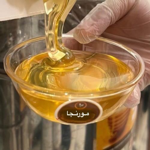 مورنجا