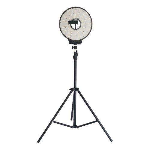 رينج لايت مع الاستاند إضاءة FW-261 LED الاحترافية ثلاث درجات إضاءة مع مثبت جوال للتصوير والبث والمكياج