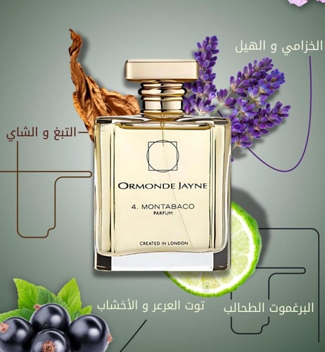 عطر 4 مونتباكو من ارموند جين بارفيوم 120 مل