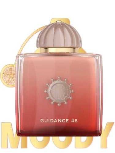 بديل جايدنس 46 / Guidance 46