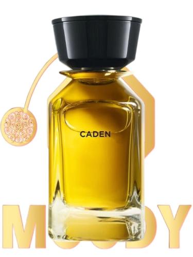 بديل كادن / Caden