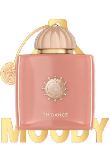 بديل جايدنس / Guidance