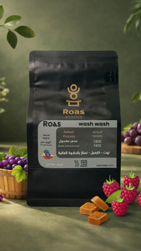 أثيوبيا wash wash مخمر مغسول