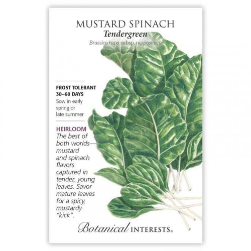 بذور خردل السبانخ - Tendergreen Mustard Spinach Se...