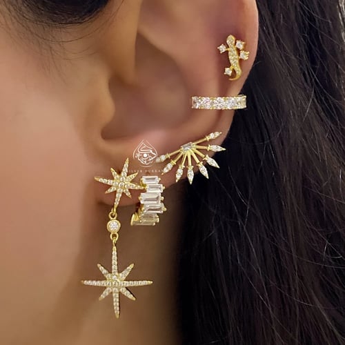 اقراط شايني الفاخره