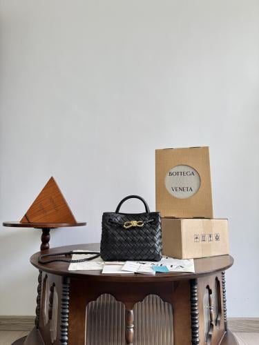 bottega andiamo bag mini