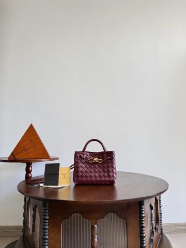 bottega andiamo bag mini