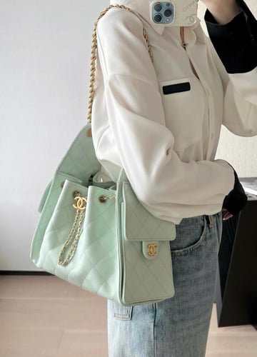 THE CHANEL 25 HANDBAG