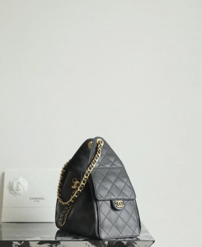 THE CHANEL 25 HANDBAG