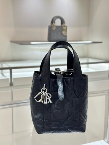 Small Dior Toujours Vertical Tote Bag