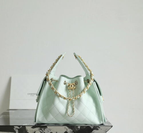 THE CHANEL 25 HANDBAG