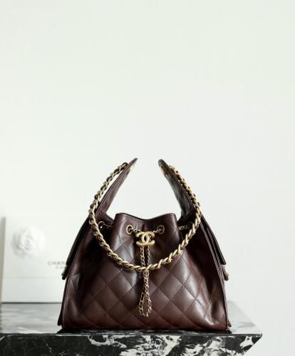 THE CHANEL 25 HANDBAG