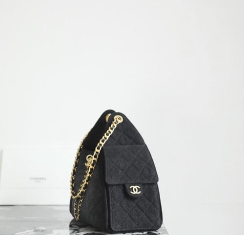 THE CHANEL 25 HANDBAG