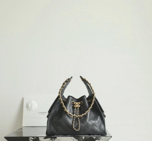THE CHANEL 25 HANDBAG